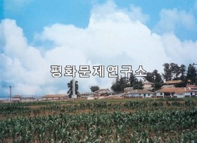 가천리 소재지마을