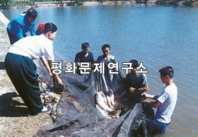 박산리 양식어