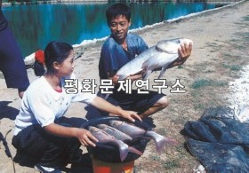 박산리 양식어