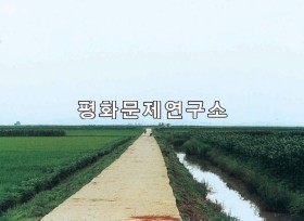 범안리 마을길