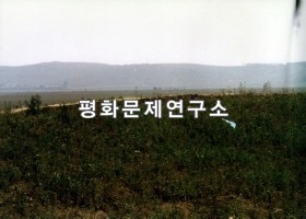 금봉리로 들어가는 도로