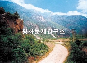 신흥리 신흥리와 연탄읍 간 도로