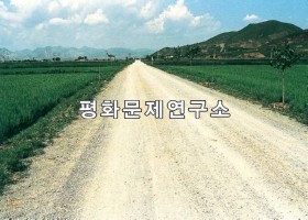 대청리 은파부터 대청 간 도로