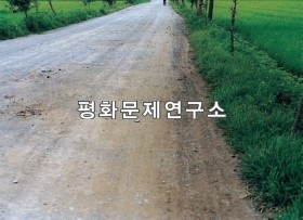유정리 입구도로