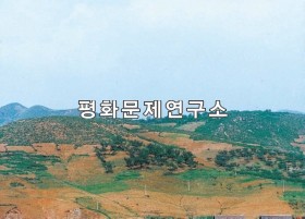 묵천리 도평앞산