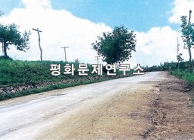 양동리 입구도로