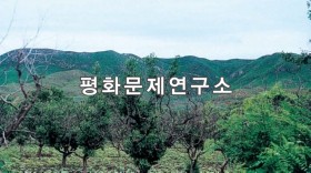 삼룡리 배나무골