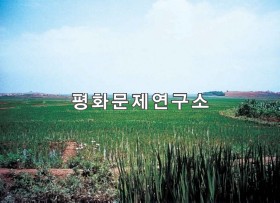 인포리 인포리벌