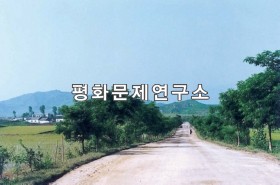 남산리 입구도로