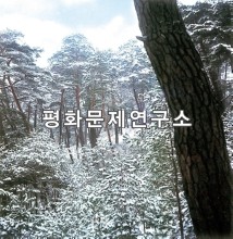 고산군 소나무 방풍림