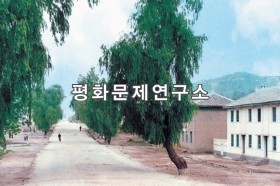 창도읍 거리 모습