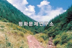 교주리 잣나무산