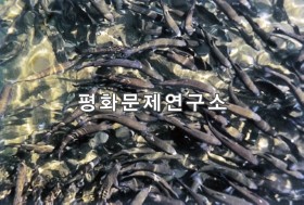 노운리 용담양어장 칠색송어