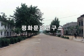 판교읍 거리 모습