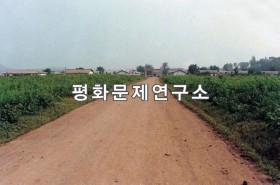 복계리 입구도로