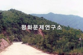 포천리 금천가는 길