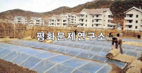 마전리 마전협동농장