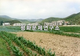 마전리 옥수수밭과 채소밭