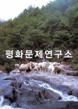 상돌리 너덜골
