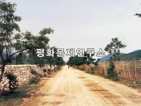 엄동리 앞도로