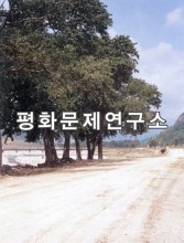 엄서리 앞도로