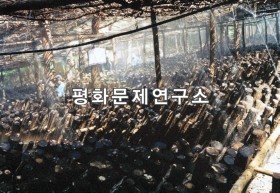 신풍리 버섯골 버섯재배