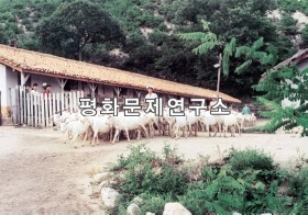 이원읍 염소방목