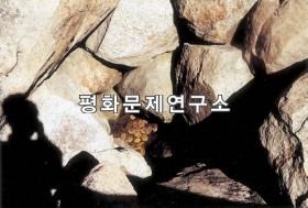 이팔리 동골지하수