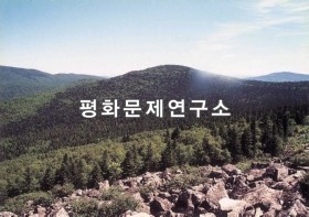 이팔리 누운잣나무림