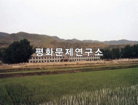 나하대리 나하대중학교
