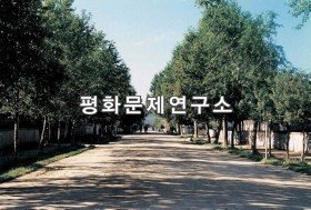 장진읍 거리