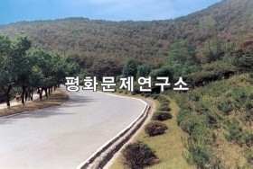 학송리 송도부락으로 들어가는 도로