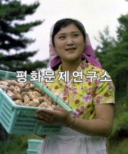 무계리 송이버섯 따는 처녀