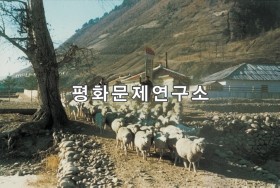 신장리 양방목