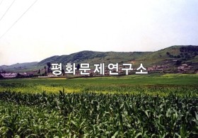 용연노동자구 앞 밭