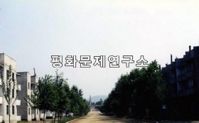 경흥읍 중심거리