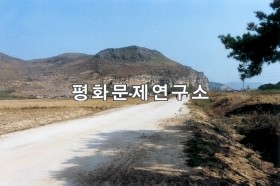 용포리 입구도로