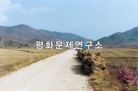 토원리 입구도로