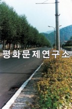 김정숙읍 중심도로