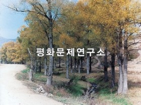 직설리 방천도로