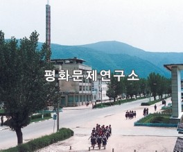 김형직읍 거리모습