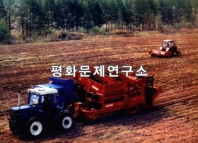 신덕노동자구 감자수확