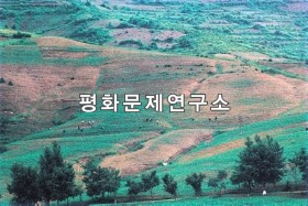 번포리 들판