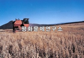 백두산밀영노동자구 백두산밀영협동농장 콩 수확