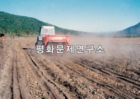 백두산밀영노동자구 백두산밀영협동농장 감자 수확
