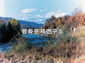 내포리 계곡풍경