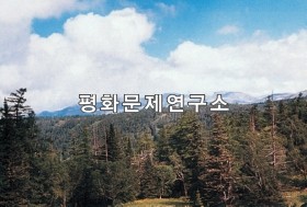 간백산에서 본 백두산