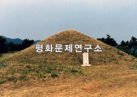 대사자 다혜환노의 묘(보존급 제1711호)