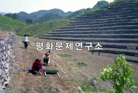 맹산군 층층계단밭