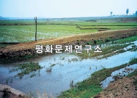 침촌리 천진개